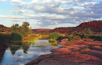 OB135 Palm Valley, Finke Gorge National Park, Northern Territory